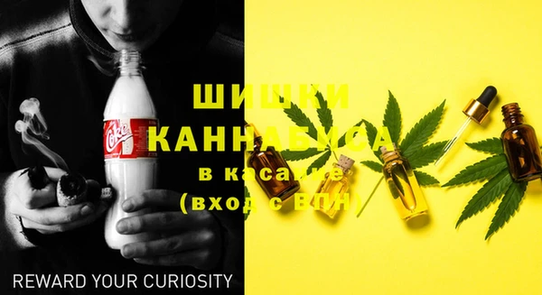 дживик Коряжма