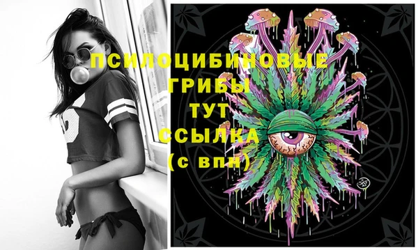 синтетический гашиш Каменка