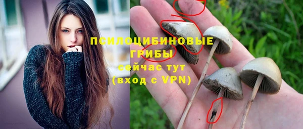 синтетический гашиш Каменка