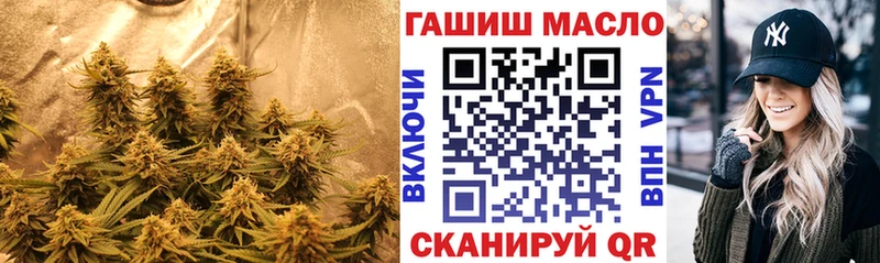 Купить где Кедровый Дистиллят ТГК Wax